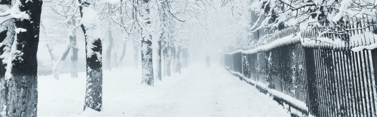 Freeze Your Credit File Quickly Snowcap Me