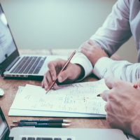consultant working with a client