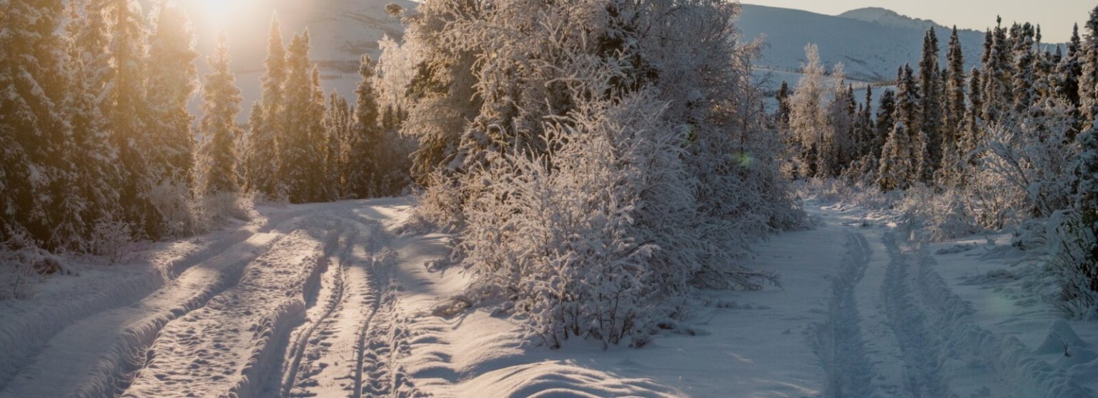 Which Credit Bureau To Unfreeze Snowcap Me